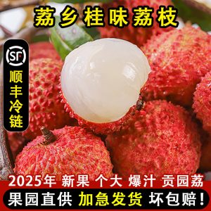 桂味